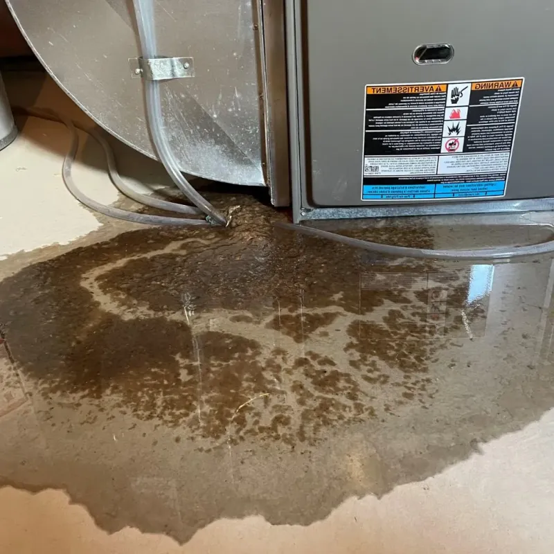 Pipe Burst and Leak Restoration in Deephaven, MN